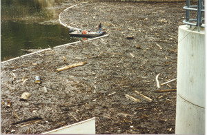 Reservoir debris