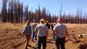 remnants of the Eiler Fire which burned 33,000 acres in July 2013. Credit: JRO