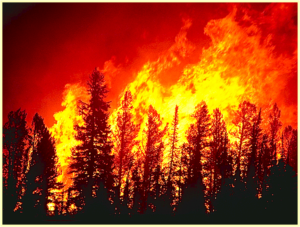 Hayman Wildfire actively burning in the Denver Watershed 2002 – Mike Ryan, US forest Service