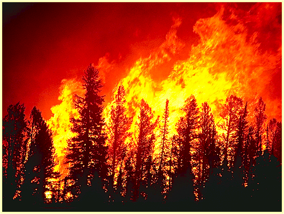 Hayman Wildfire queima ativamente na bacia hidrográfica de Denver 2002 – Mike Ryan, Serviço Florestal dos EUA