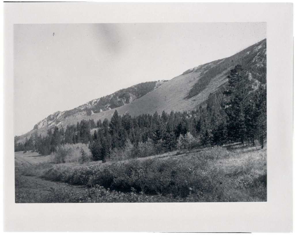 Photo of a hillside northeast of Phillipsburg, Montana next to the future location of U.S. Highway 10A. Date: Between 1906 and 1908 Credit: Frank C. Calkins (USGS) Archived at the Mansfield Library at the University of Montana