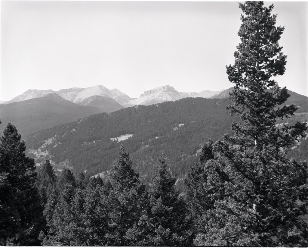 Gruell climbed a tree about 50 yards away from the original photo point to take a picture of the same area, now covered by Douglas fir. Date: 09/16/1981 Credit: George Gruell (USFS) Archived at the Mansfield Library at the University of Montana