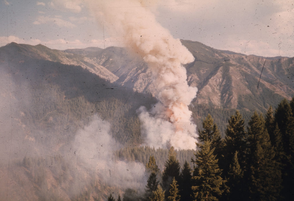 Fitz fire escaping the White Cap study area Credit: Bob Mutch