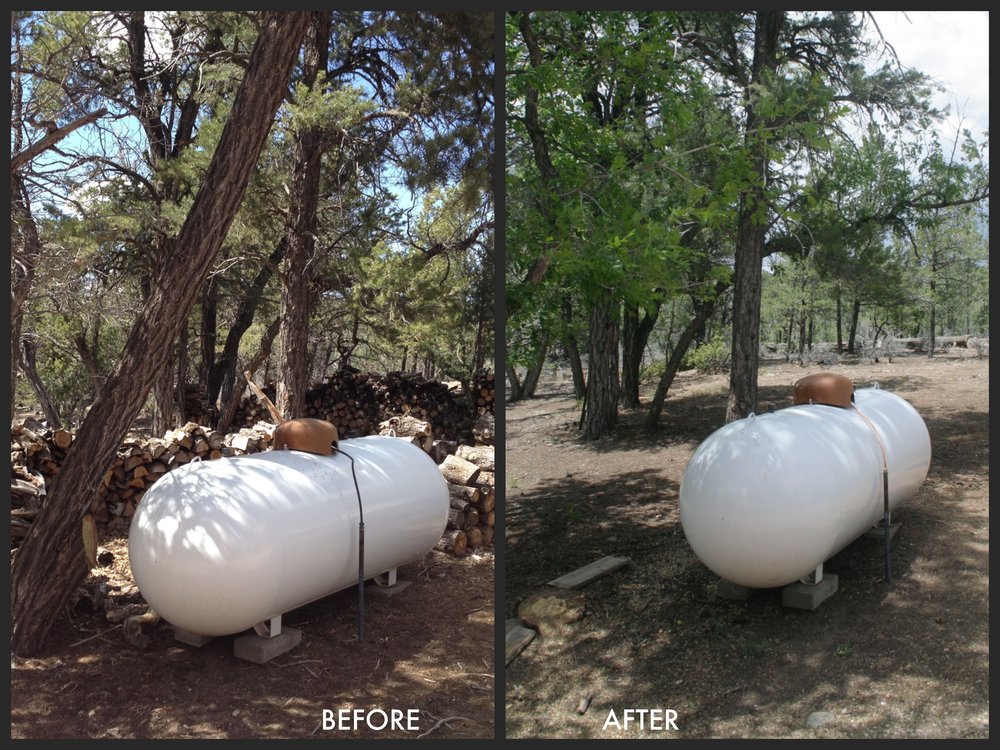 The Greater Santa Fe Fireshed Coalition leads the way in New Mexico's efforts to restore watersheds