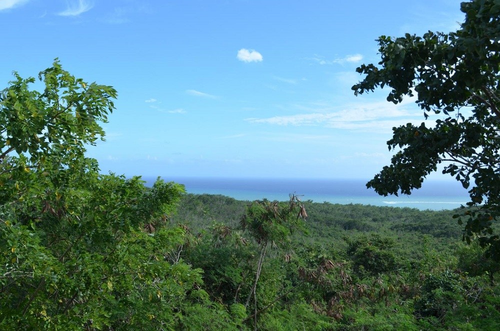 Guanica Biosphere Preserve, Puerto Rico